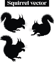 Squirrel Vector Silhouettes Cute Rodents in Various Poses
