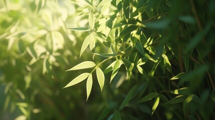Lush green foliage bathed in sunlight
