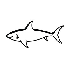stunning blacktip shark line art vector on white background