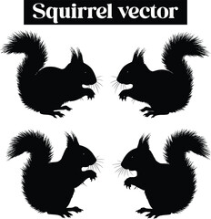 Squirrel Vector Silhouettes Cute Rodents in Various Poses