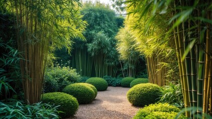 Obraz premium Outdoor atrium with flowerbed featuring bamboos and assorted evergreen plants in clusters