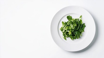 Fresh, vibrant salad greens on a plate