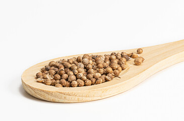 Seeds spice coriander on a wooden spoon on a white background. Isolated
