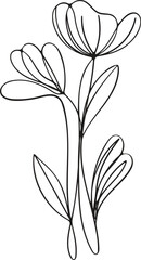 Simple Line Drawing of Elegant Minimalist Flowers