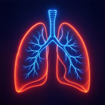 Neon Anatomical Lungs &ndash; Symbol of Breathing and Health