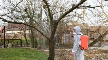 Gardener in protective clothing with a knapsack sprayer is spraying fruit tree with fungicide in a spring garden. Plant protection from diseases, insects and pests control. High quality photo.