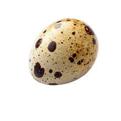 Quail egg png spotted small egg png gourmet ingredient png white background image