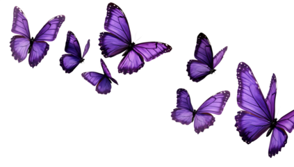 Set of  Purple butterflies flying in the air  isolated on white background PNG,AI GENERATED