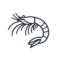 Line art shrimp illustration, ocean food, white background, seafood menu