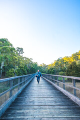 Obraz premium Front view of a man walking on timber trestle bridge at sunset, Timboon Trestle Bridge, Victoria, Australia
