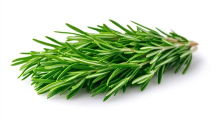 Fototapeta premium Closeup of fresh rosemary sprigs, aromatic herb for culinary delights 
