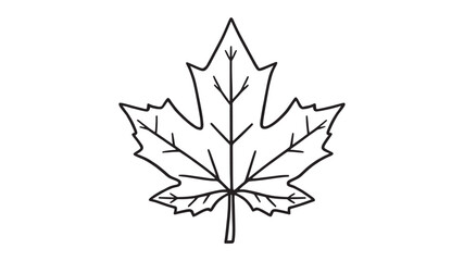 Maple leaf line art illustration with detailed elegant design