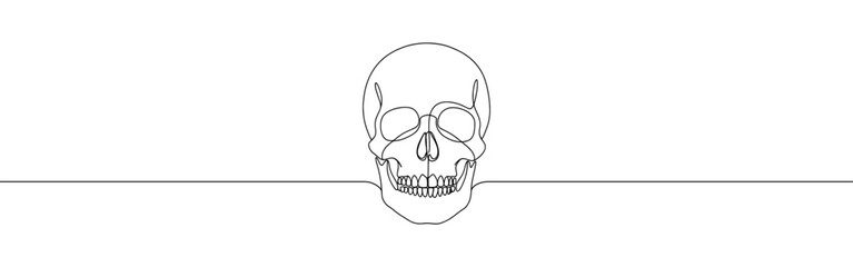 Skull continuous one line drawing. Death symbol. Vector illustration.