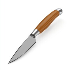 A paring knife with a light brown wooden handle.