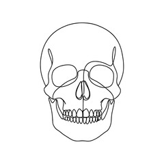 Skull continuous one line drawing. Death symbol. Vector illustration.