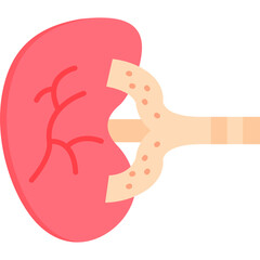 Kidney Icon