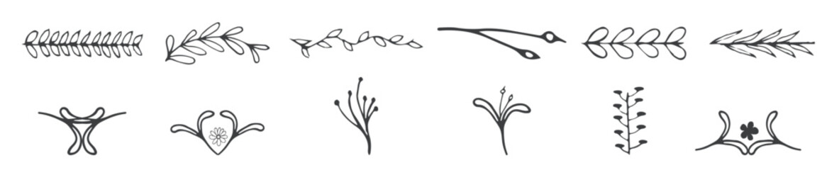 Hand Drawn Banners, Leaves, Flowers, Branches and Swirls