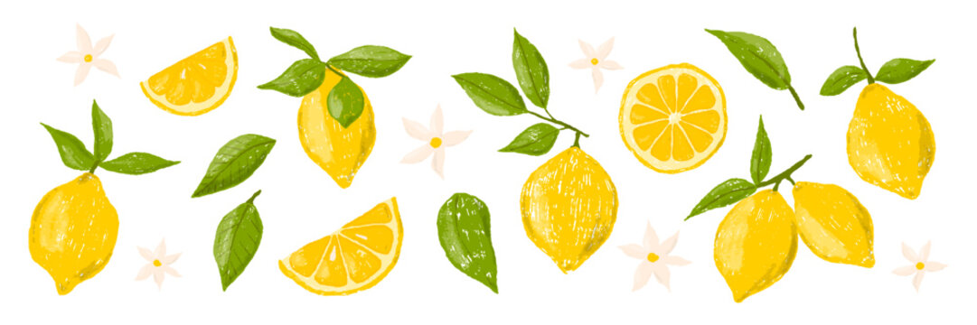 Hand drawn set of colored crayon of lemons on a branch. Leaves and flowers of citrus fruits. Vector Italian summer illustration in Mediterranean vintage style