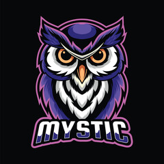 Mystic Night Owl Cartoon Character Mascot Illustration