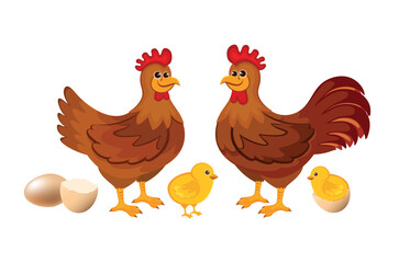 Cute hen, rooster and chicks in cartoon style icon set vector. Funny chicken bird cartoon character. Happy hen, rooster and baby chick icon set isolated on a white background