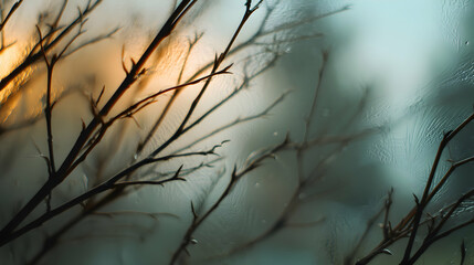 Obraz premium Branches silhouetted against a muted, textured surface create an intriguing, natural abstract