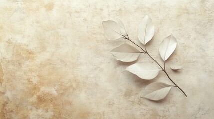Fototapeta premium Elegant White Branch Leaves Beige Textured Background Minimalist Botanical Nature Design Photography Image Neutral Tones Soft Hues Simple Aesthetic Calm Serenity Peaceful Atmosphere Tranquil Mood 