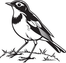 European Robin bird silhouette vector illustration