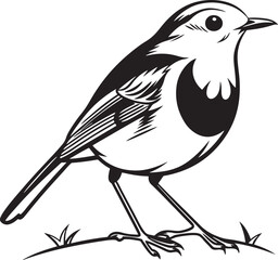 Naklejka premium European Robin bird silhouette vector illustration
