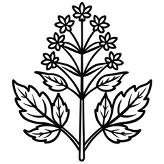 black and white floral ornament