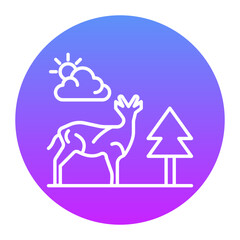 Safari Icon
