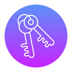 Security Key Icon