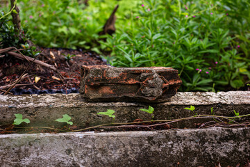 Close-up of an old brick on a concrete ledge with small green plant sprouts. Represents decay, texture, and nature reclaiming.


