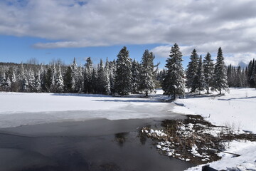 Obraz premium The small lake in spring, Québec, Canada