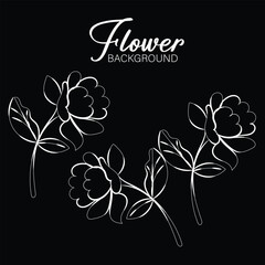 Elegant White Line Art Flowers on Black Background