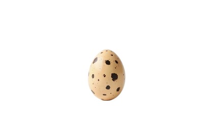 Fototapeta premium Spotty Elegance: A Close-Up of a Single Light Brown Quail Egg with Dark Speckled Patterns 