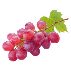 Fototapeta premium Fresh Red Grapes on Branch with Green Leaf Isolated on White Background, isolated on transparent background.