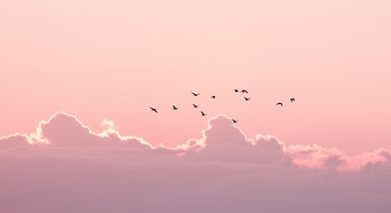 Obraz premium Pink sky clouds birds peaceful scene