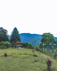 View point on a hill in northern part of Cooch Behar, West Bengal, India in June 2024....