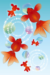金魚の暑中見舞い