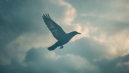Bird symbol on a window pane to prevent bird collisions