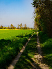 Fototapeta premium Marne, historic village near Brembate, Bergamo province, Italy