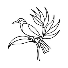 bird of paradise pose icon, bird of paradise pose line art - simple line art of bird of paradise pose, perfect for bird of paradise pose logos and icons