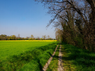 Obraz premium Marne, historic village near Brembate, Bergamo province, Italy