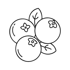 blueberries icon, blueberries line art - simple line art of blueberries, perfect for blueberries logos and icons