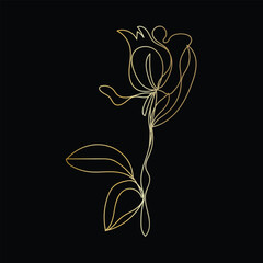 Elegant Golden Line Art Flower on Black Background Botanical Illustration