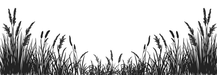 Silhouette of cattails and reeds. Wild grass on the river bank. Swamp coastal plants.