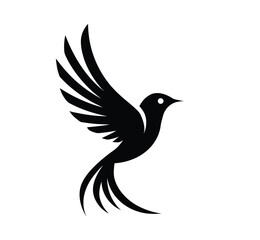 Silhouette of an Elegant Black Bird with Outstretched Wings and Curved Tail on a white Background