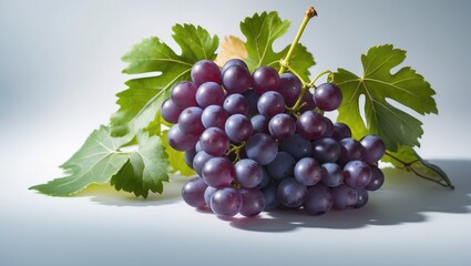 Fototapeta premium Isolated cluster of grapes with leaves on a background