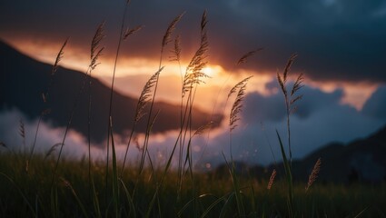 Mountain sunrise with clouds and dewy grass in the foreground