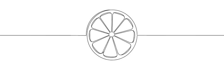 Orange, lemon, lime, grapefruit continuous one line drawing. Citrous symbol. Vector illustration.